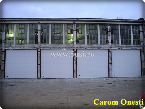 Usi industriale sectionale, Porti industriale sectionale, Sectional overhead doors