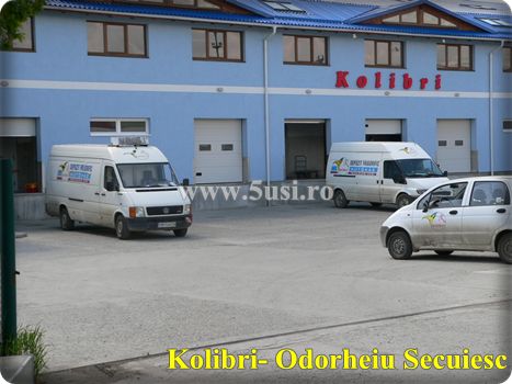 Usi industriale sectionale, Porti industriale sectionale, Sectional overhead doors