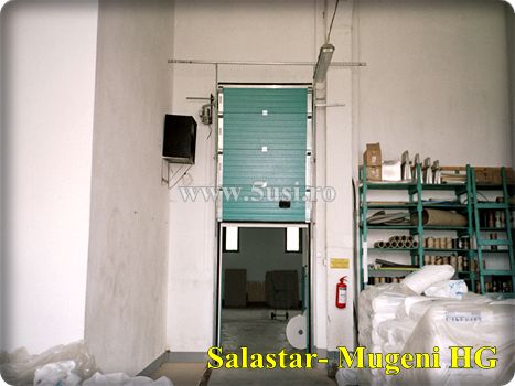 Usi industriale sectionale, Porti industriale sectionale, Sectional overhead doors